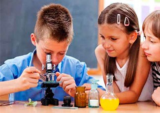 O Ensino de Ci�ncias nos Anos Iniciais